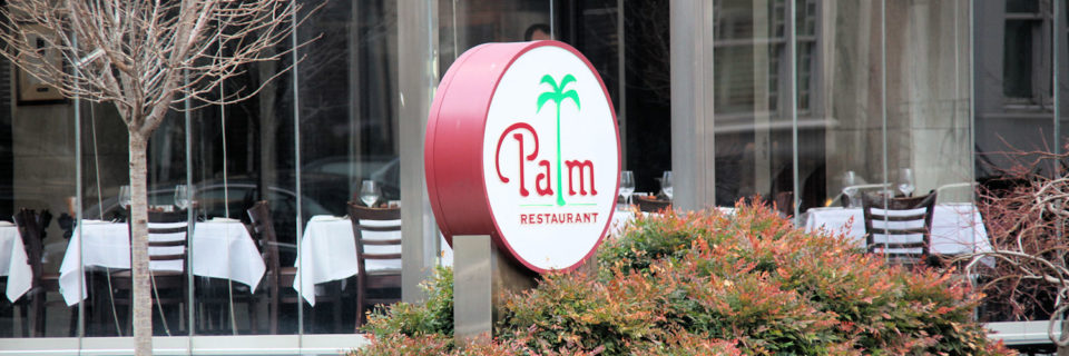 The Palm
